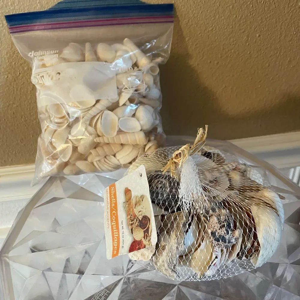 Seashell Lot - Picture 13 of 13
